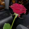 ummumohamuud254766
