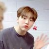 해태부승관콘