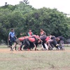 syadz_rugby