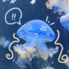 bluejellyfish_me