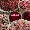 tahanyalawjly