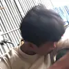 boy.heng960
