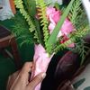 sushila.baral24