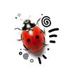 ladybugs.are.c0ol