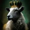 sheepking35