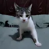 bielz_88