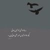 noor.shahid23