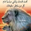user9024638463904