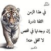 user9043585155283