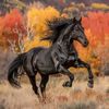 blackhorse21344