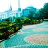 uolviews