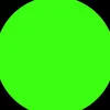v4r0_p1g3on