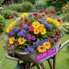 margareth.beneven2
