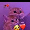 its_me_anuush8