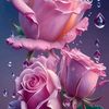 user75510017133717