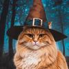 wizard.cat_7