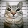 que_miras_0048