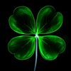 user7736181043284