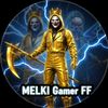 ملكي Gamer FF