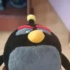 the_fogis_comin