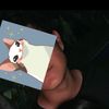 frozo_25