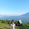 pel.laa4