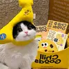 🍷ʕ ᵔᴥᵔ ʔ神の一つの手ฅ😸ฅ