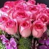 ayah26985