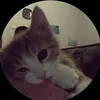 baoan_210314