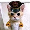 username201230045