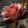 abdul.rehan.rehan4