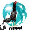 chakwali.aseel.786