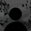 user5411031810594