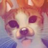 milla_wel