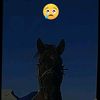 asylbek_yes