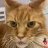 not_nothing_not_empry