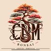 cnm.bonsai