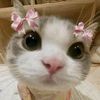 pinkygirl280