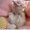 xinh_xinh269