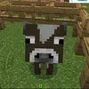 vobecuajackk