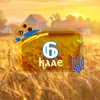 anastysik_11