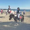 mar_06933
