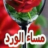 ahmedin.sied