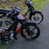 ceppp_110