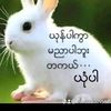 ဘဝသမားလေး