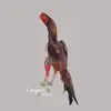criatorio_euro