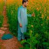 sajid.ali.rind51