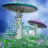scriptsandmore.nl
