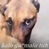 tasboouhqmd