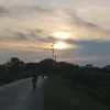 dangbrazil_220911